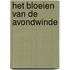 Het bloeien van de avondwinde