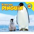 Pinguïn