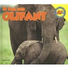 Olifant by Aaron Carr