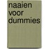Naaien voor Dummies