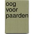 Oog voor paarden