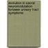 Evolution in sacral neuromodulation forLower Urinary Tract Symptoms