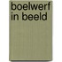 Boelwerf in beeld