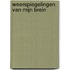 Weerspiegelingen van mijn brein