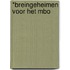 *Breingeheimen voor het MBO