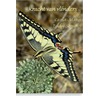 Kracht van vlinders door Carla Mans