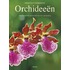 Praktisch handboek orchideeen