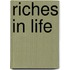 Riches in life