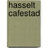 Hasselt cafestad