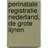 Perinatale registratie Nederland, de grote lijnen