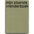 Mijn stoerste vriendenboek