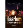 Haarlem centraal by Rob van Doorn