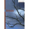 Amos door Pieter Niemeijer