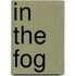 In the fog