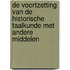 De voortzetting van de historische taalkunde met andere middelen