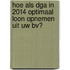 Hoe als DGA in 2014 optimaal loon opnemen uit uw BV?