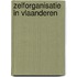 Zelforganisatie in Vlaanderen