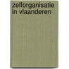 Zelforganisatie in Vlaanderen by Bert Anciaux