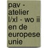 PAV - atelier L/XL - WO II en de Europese Unie