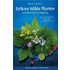 Eetbare wilde planten