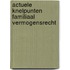 Actuele knelpunten familiaal vermogensrecht