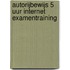 Autorijbewijs 5 uur internet examentraining