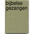 Bijbelse gezangen