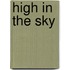 High in the sky