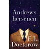 Andrews hersenen door E.L. Doctorow