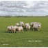 Schapen tellen