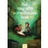 Het magische wereldfeestenboek