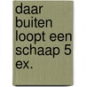 Daar buiten loopt een schaap 5 ex. door Mies van Hout