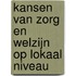Kansen van zorg en welzijn op lokaal niveau