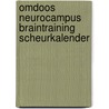Omdoos neurocampus braintraining scheurkalender door Robert Bolhuis