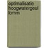Optimalisatie hoogwatergeul Lomm