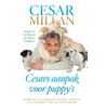 Cesars aanpak voor puppy's door Melissa Jo Peltier