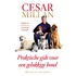 Backcard Cesar Millan 4x5 ex.