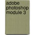Adobe Photoshop module 3