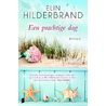 Een prachtige dag by Elin Hilderbrand