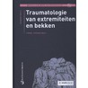 Traumatologie van extremiteiten en bekken by Hendries Boele