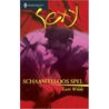 Schaamteloos spel door Lori Wilde