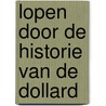 Lopen door de historie van de Dollard door Cees Stolk