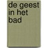 De geest in het bad