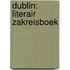 Dublin: literair zakreisboek