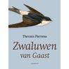 Zwaluwen van Gaast door Theunis Piersma