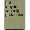 Het labyrint van mijn gedachten door Mary-Jane Sahanaja