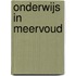 Onderwijs in meervoud
