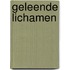 Geleende lichamen