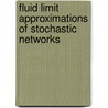 Fluid limit approximations of stochastic networks door Maria Remerova