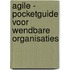 Agile - Pocketguide voor wendbare organisaties